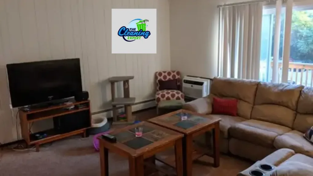 Cleaning Services Mississauga