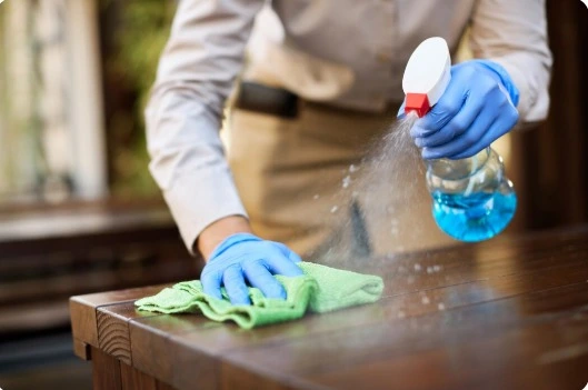 House cleaning Mississauga